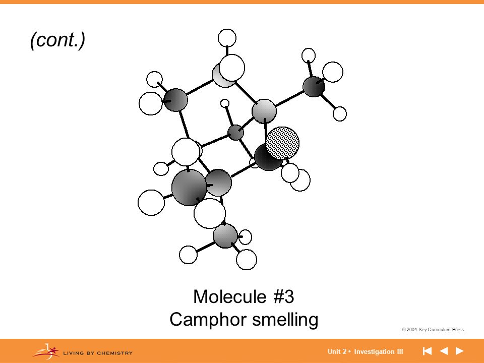 (cont.) Molecule #3 Camphor smelling Unit 2 • Investigation III
