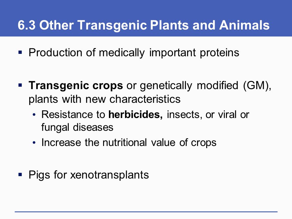 6.3 Other Transgenic Plants and Animals