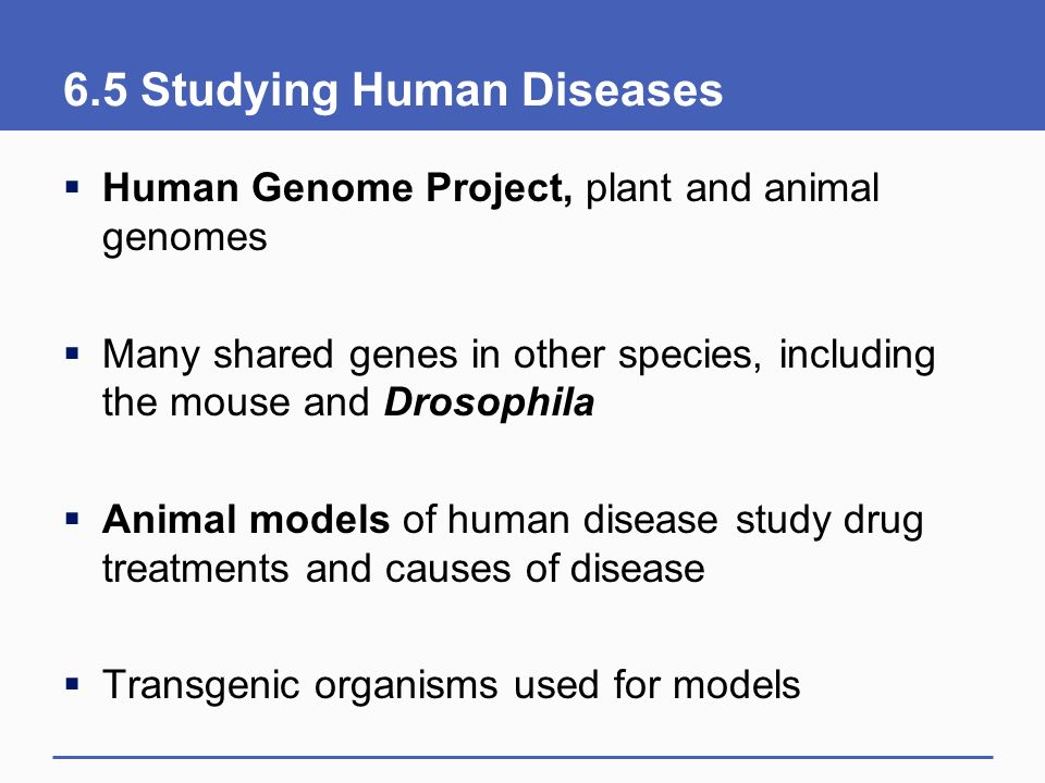 6.5 Studying Human Diseases