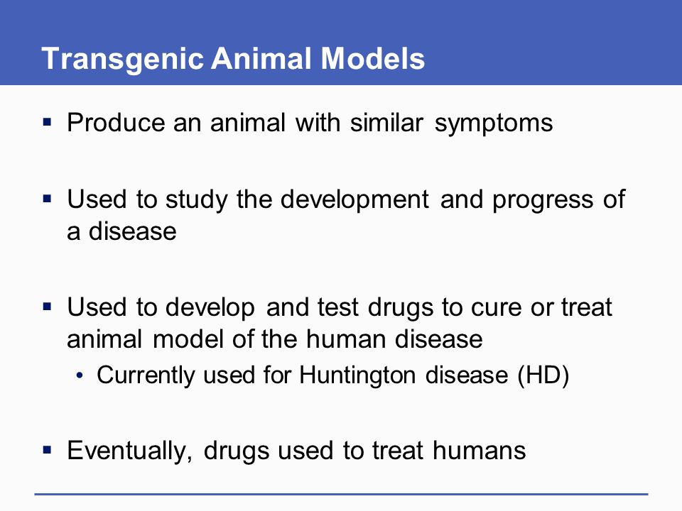 Transgenic Animal Models