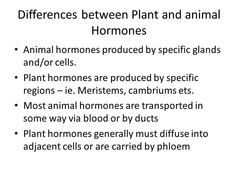 PLANTS UBER ALLES (Plants as control freaks) - ppt download PLANTS UBER ALLES (Plants as control freaks) - ppt download