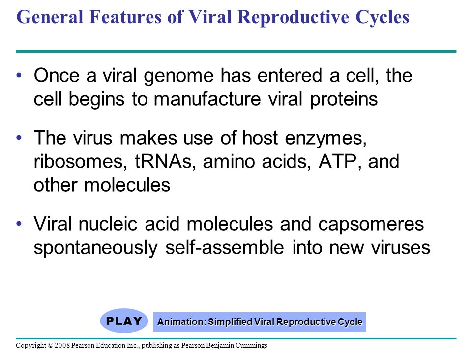 General Features of Viral Reproductive Cycles