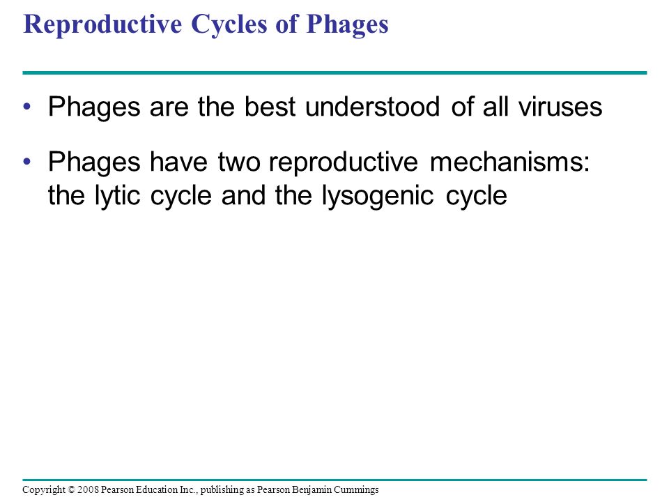 Reproductive Cycles of Phages