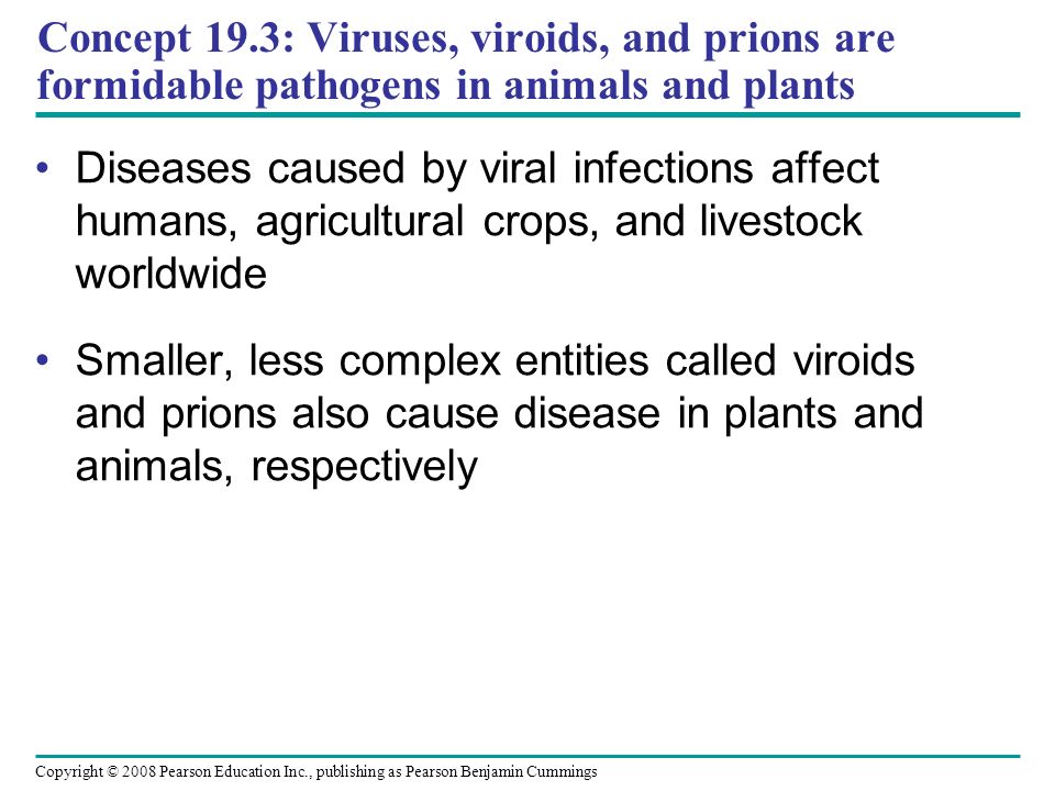 Concept 19.3: Viruses, viroids, and prions are formidable pathogens in animals and plants