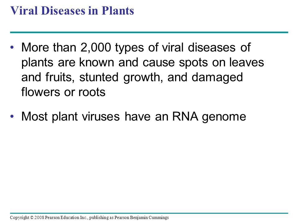 Viral Diseases in Plants