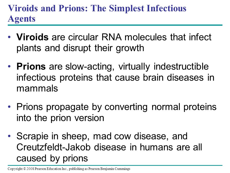 Viroids and Prions: The Simplest Infectious Agents