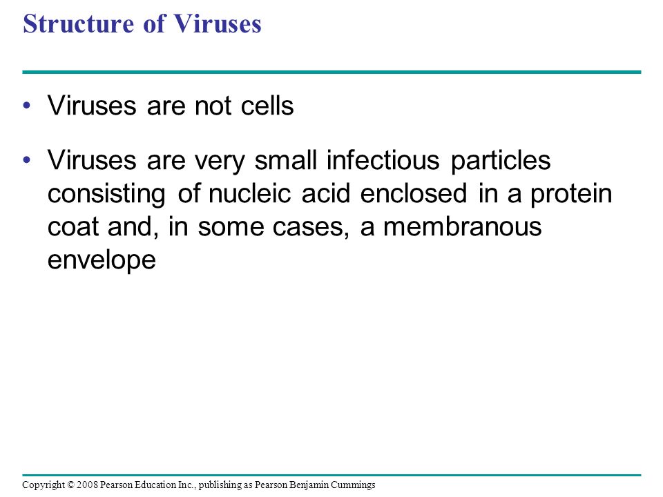 Structure of Viruses Viruses are not cells.