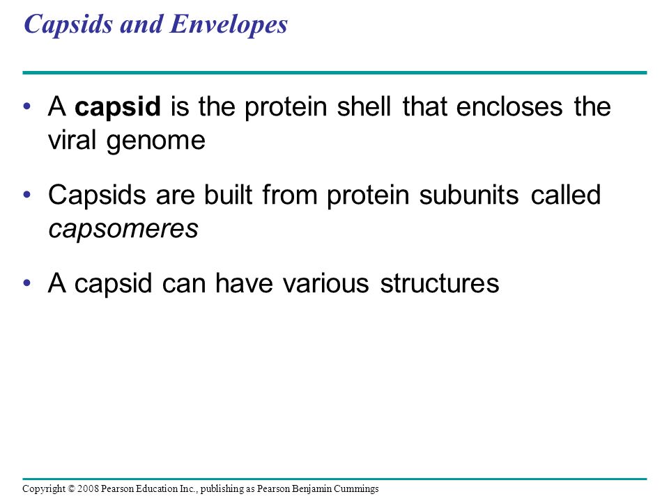 Capsids and Envelopes A capsid is the protein shell that encloses the viral genome. Capsids are built from protein subunits called capsomeres.