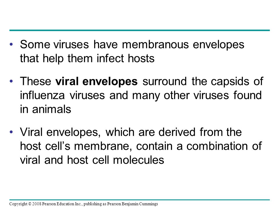 Some viruses have membranous envelopes that help them infect hosts