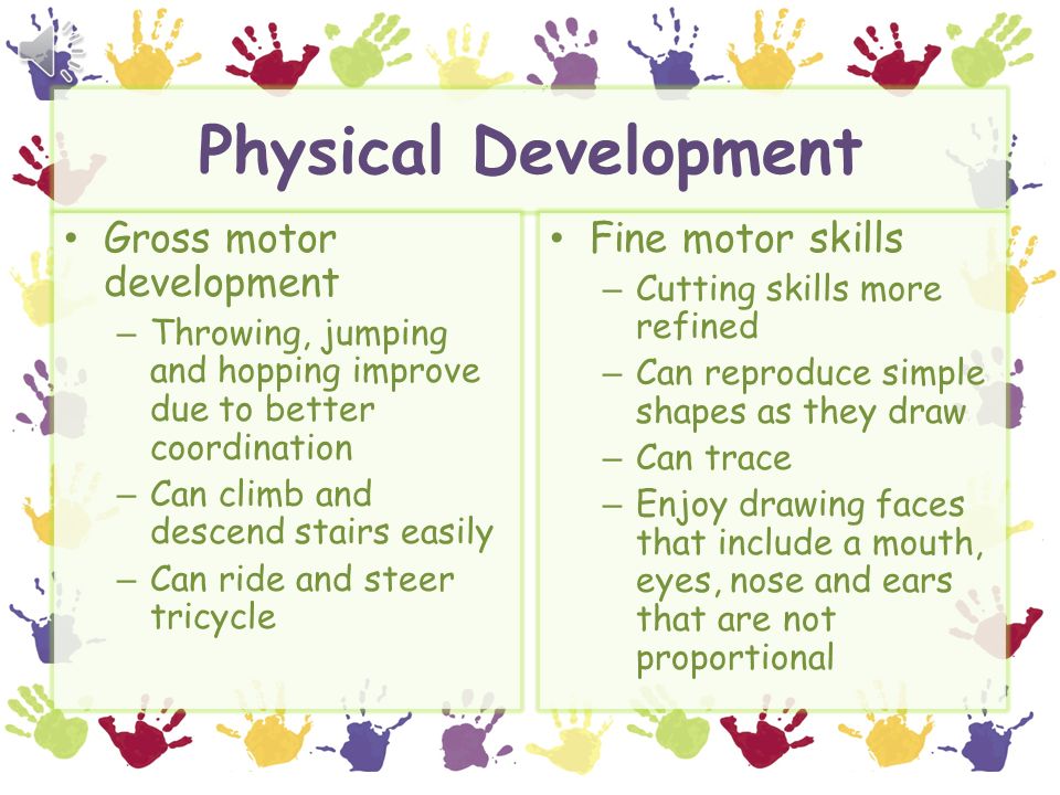 Physical Development Gross motor development Fine motor skills