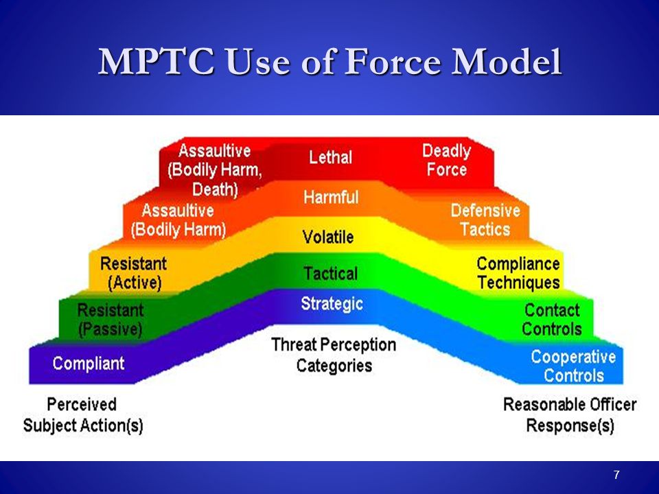 Police Force Continuum Chart