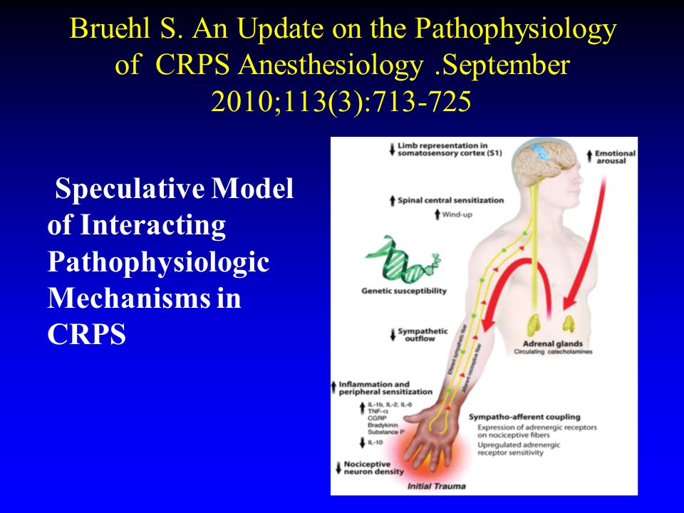 Bruehl S. An Update on the Pathophysiology of CRPS Anesthesiology