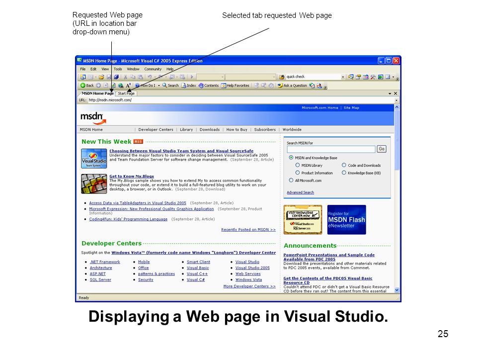 Displaying a Web page in Visual Studio.