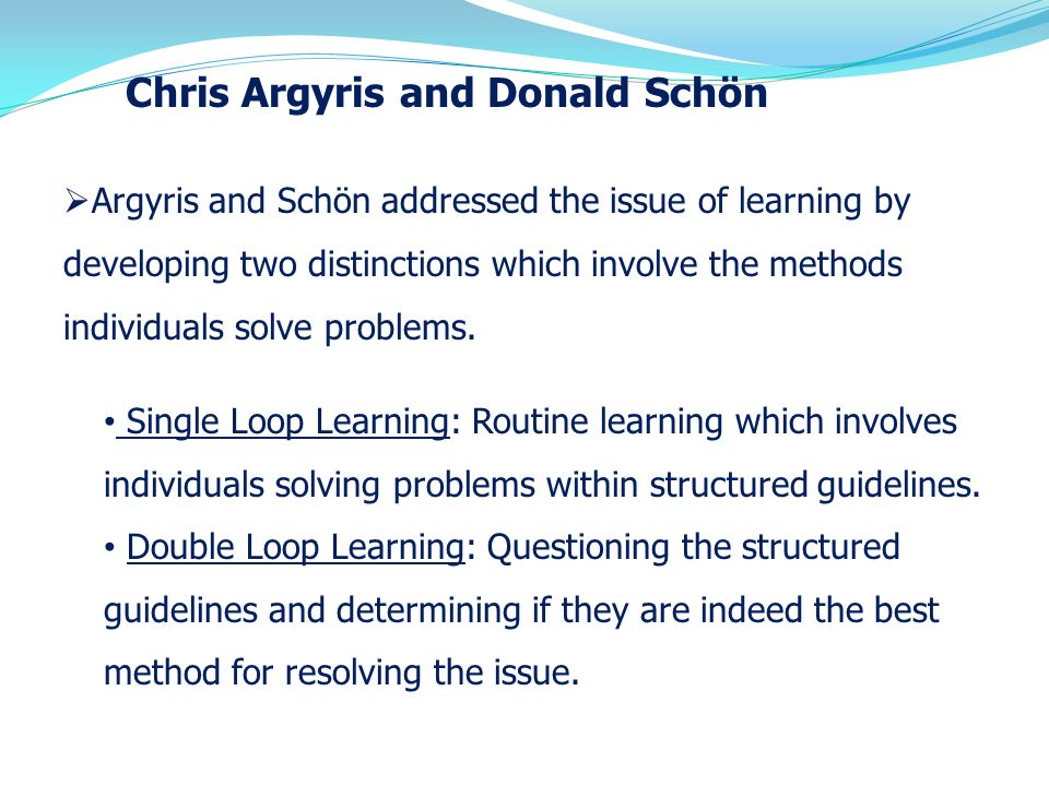Learning organisation example single loop Single and