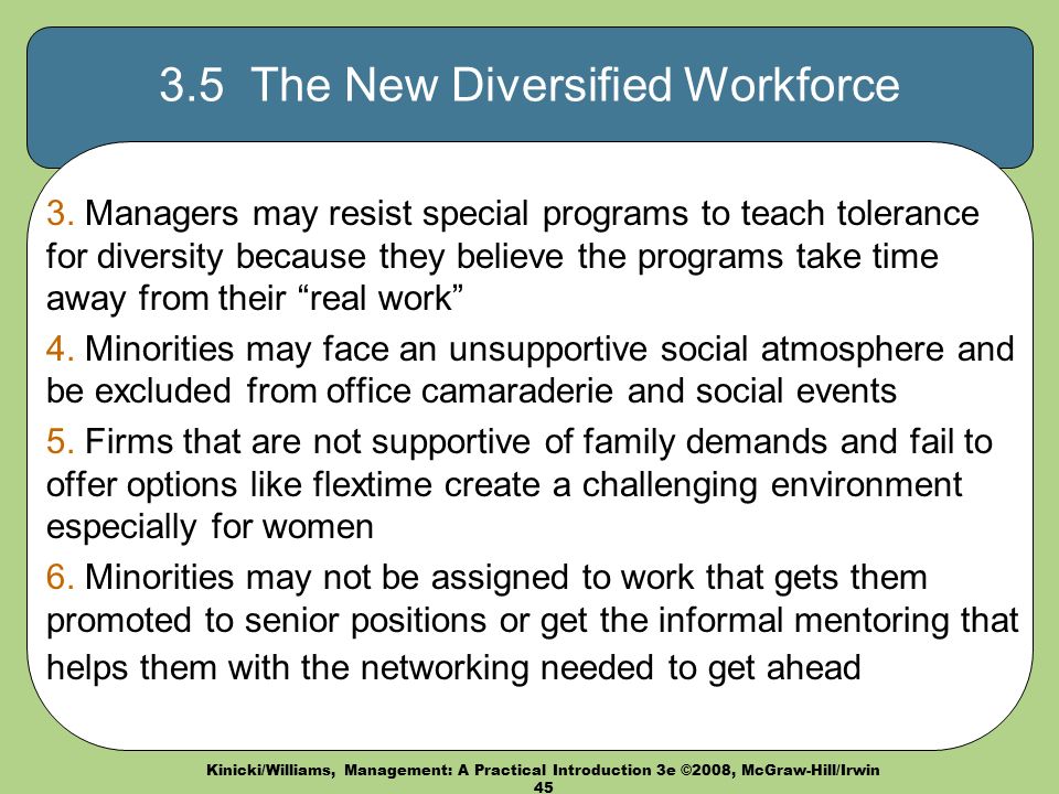 3.5 The New Diversified Workforce