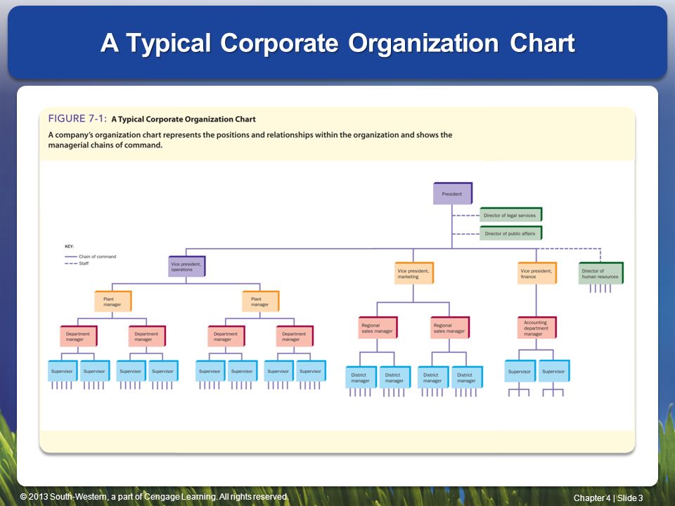 Typical Company Org Chart