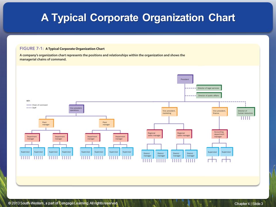 Typical Organizational Chart Of A Company