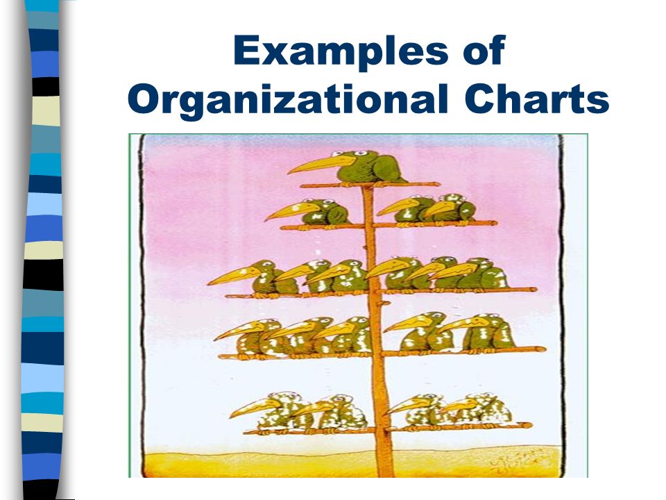 Examples of Organizational Charts