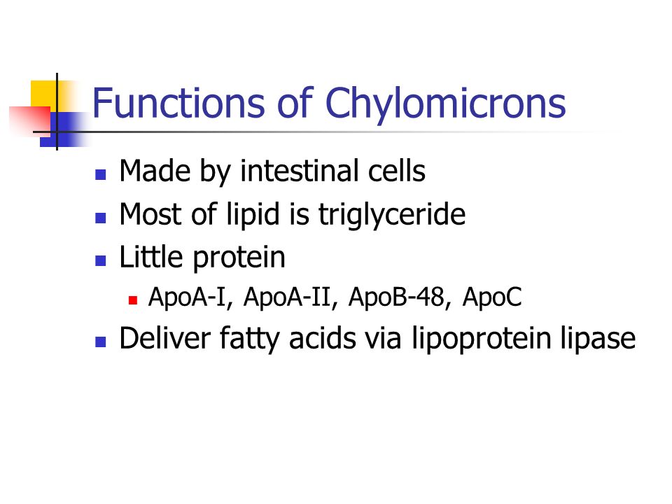 Function of Chylomicron