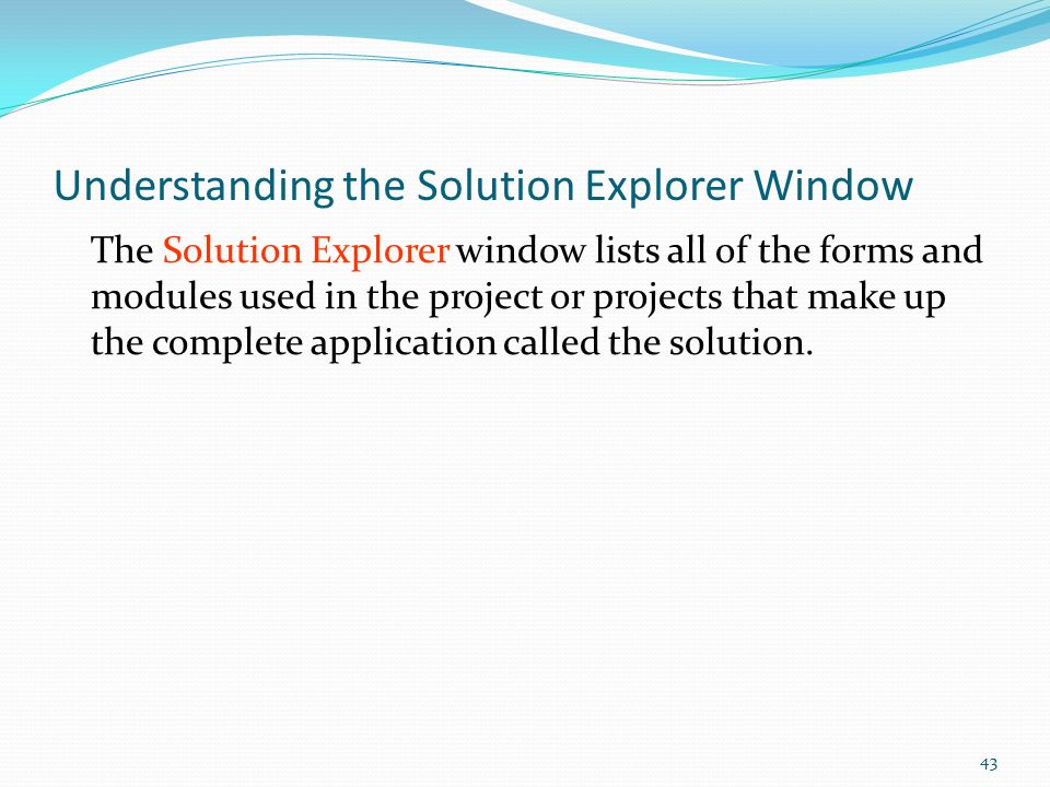 Understanding the Solution Explorer Window