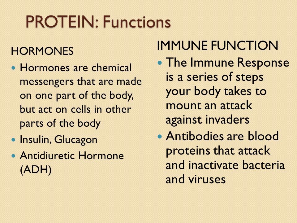 PROTEIN: Functions IMMUNE FUNCTION