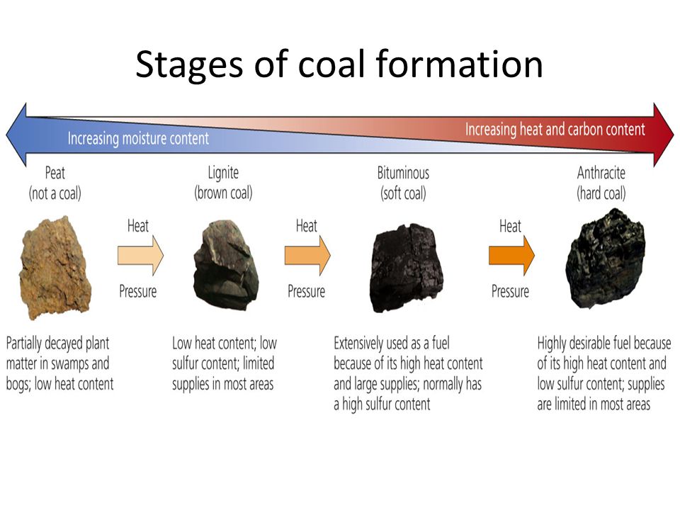 the first stage in the formation of coal is