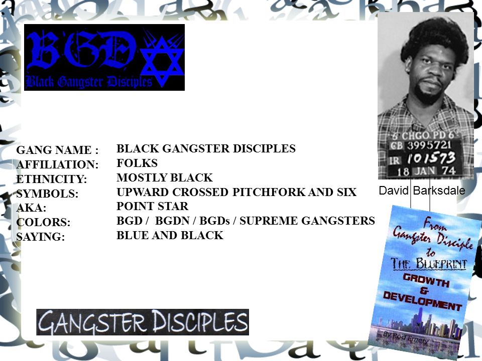 gangster disciples book