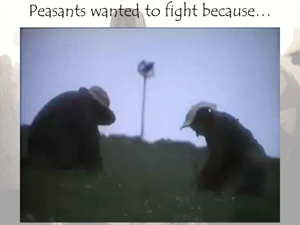 Peasants wanted to fight because…