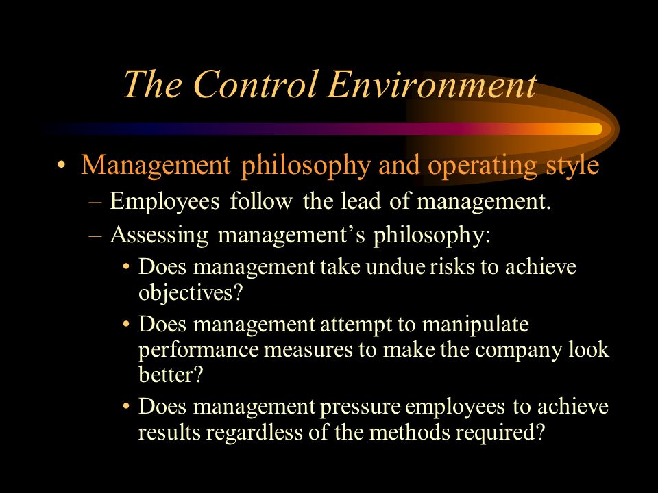 The Control Environment