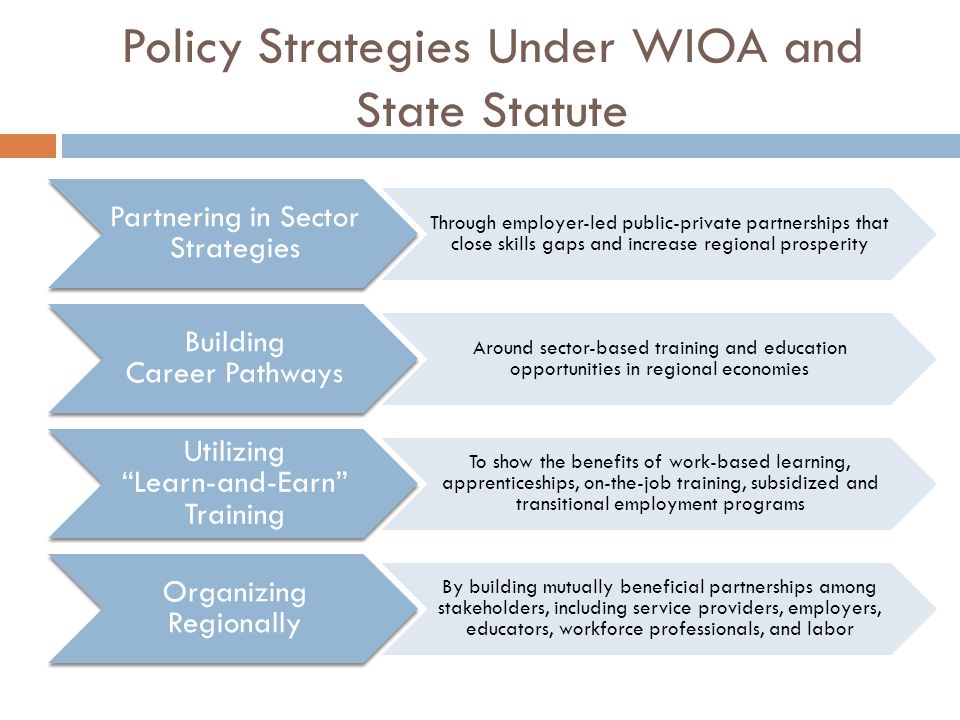 Policy Strategies Under WIOA and State Statute