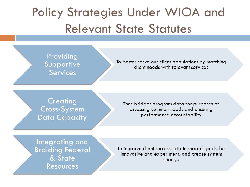 Policy Strategies Under WIOA and Relevant State Statutes