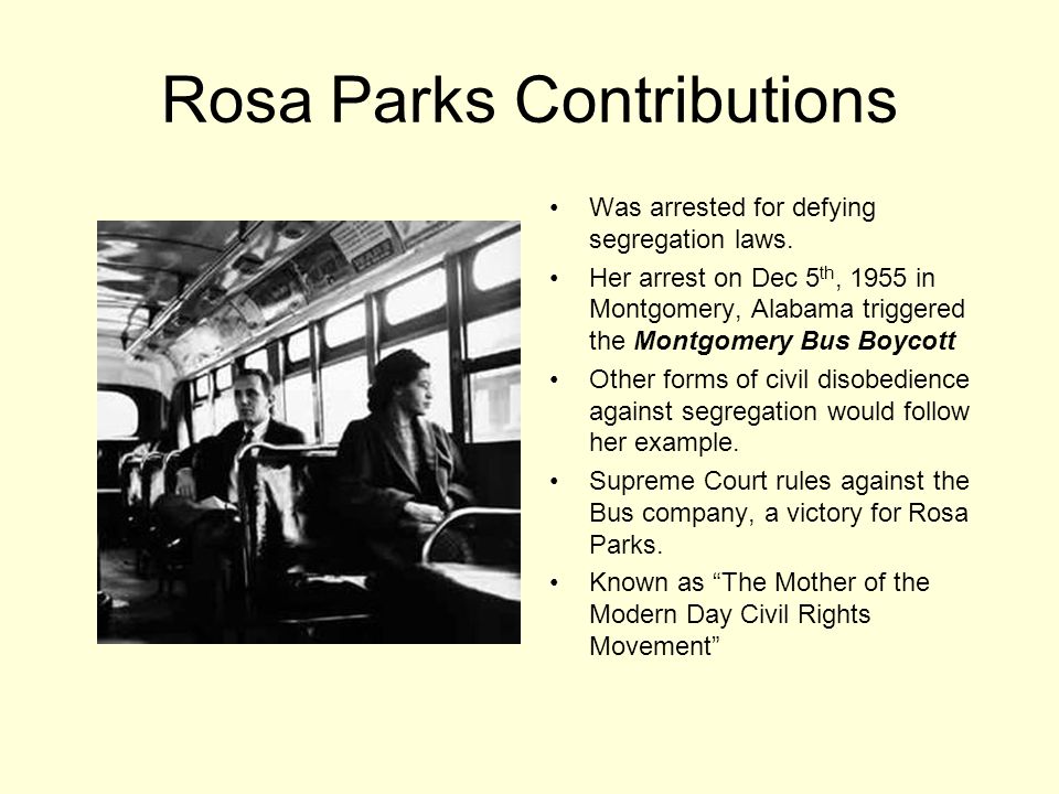 Rosa Parks Contributions.