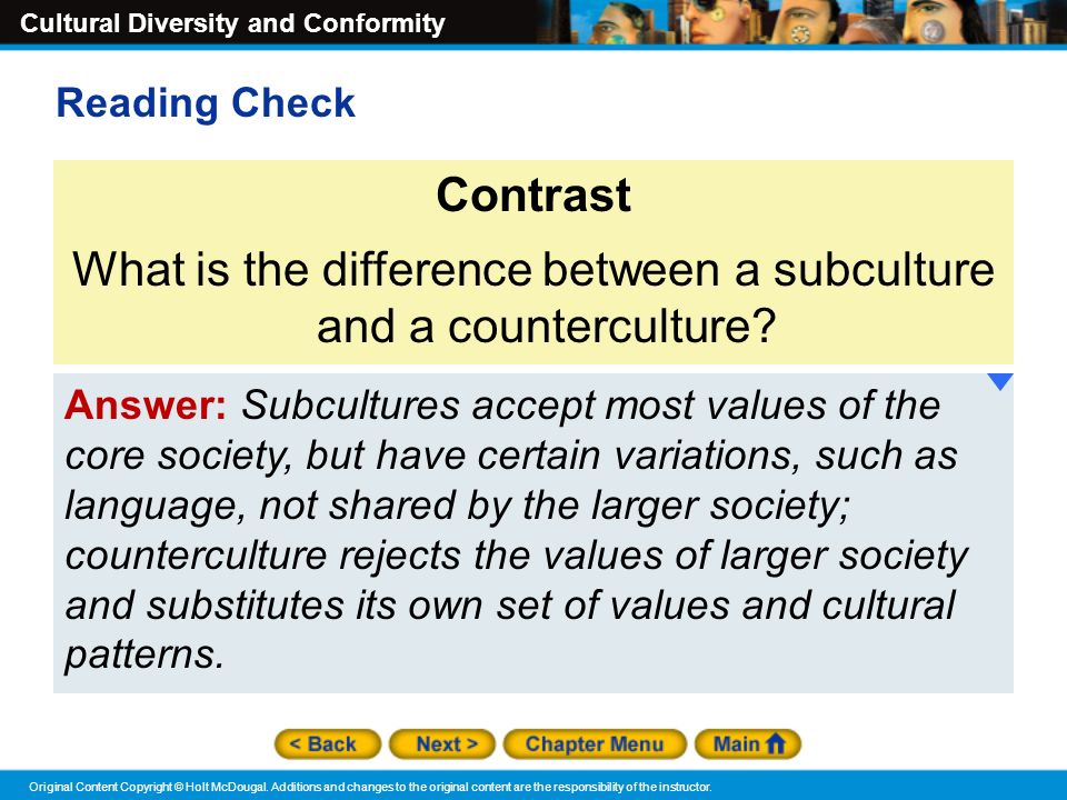 What is the difference between a subculture and a counterculture Chapter 2 Cultural Diversity And Conformity Ppt Video Online Download