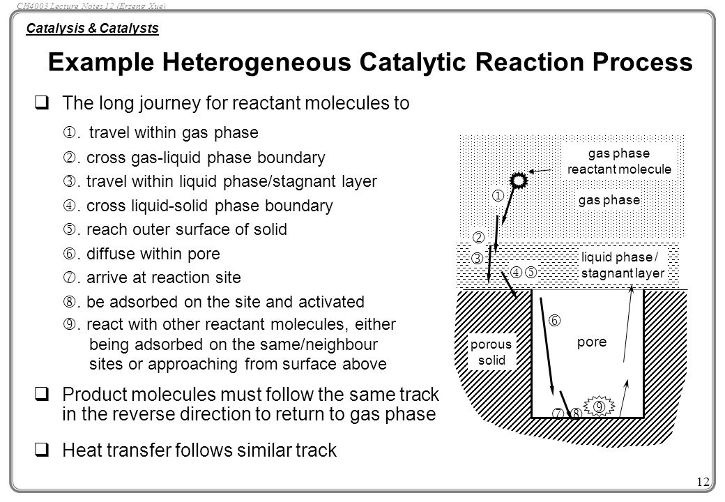 Catalysis Catalysts Facts And Figures About Catalysts Ppt Download