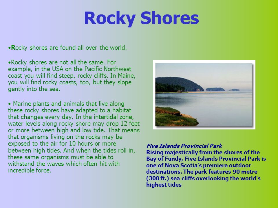Rocky Shores Rocky shores are found all over the world.