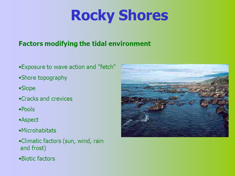 Rocky Boulder Shores Mr2505 Lecture Ppt Video Online Download