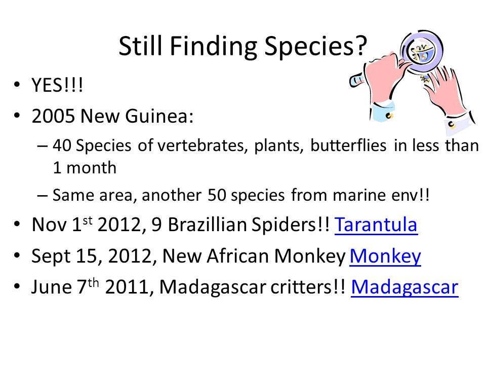 Still Finding Species YES!!! 2005 New Guinea: