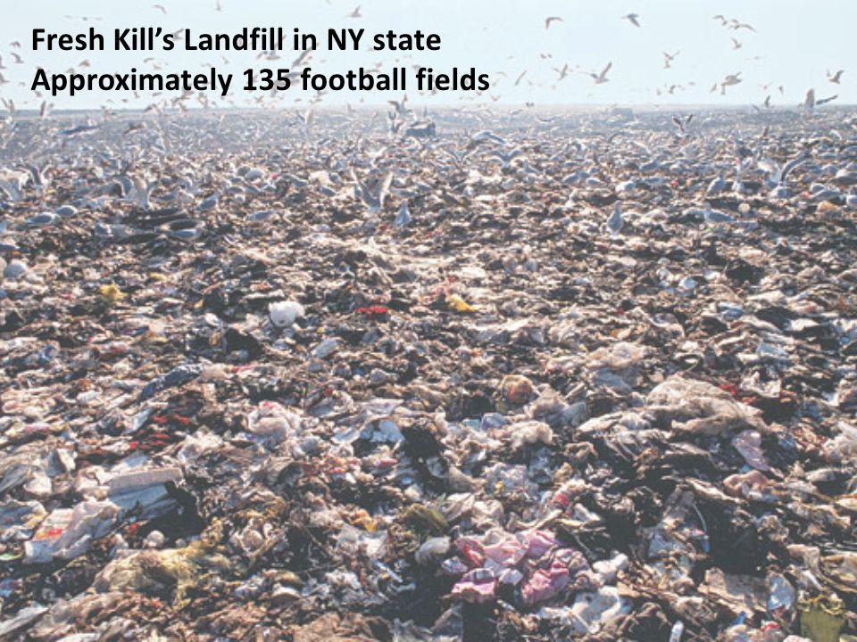 Fresh Kill’s Landfill in NY state