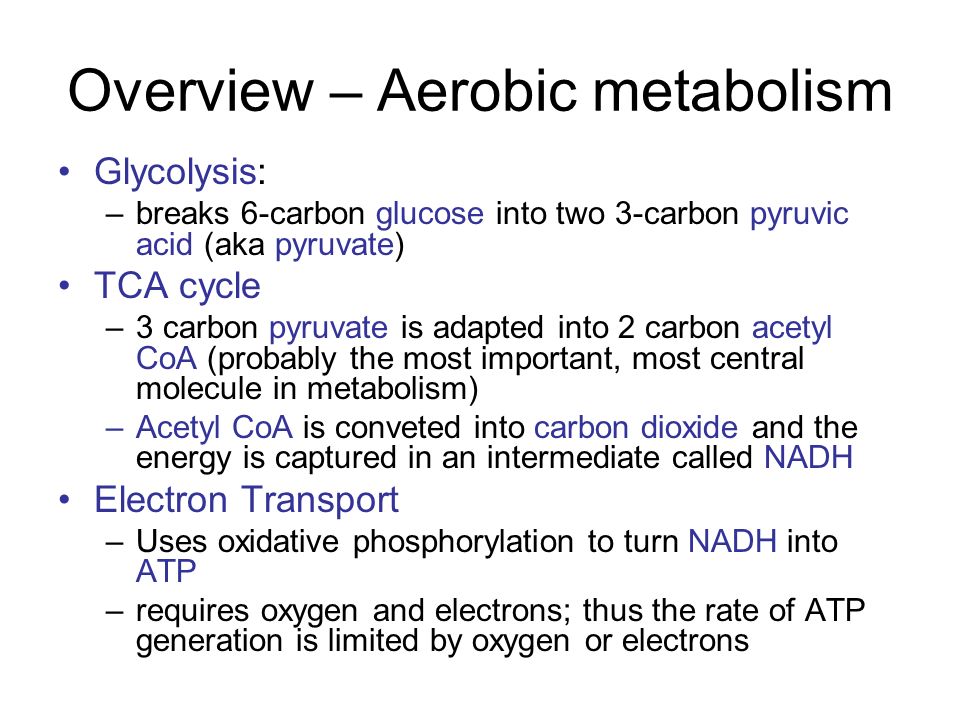Overview – Aerobic metabolism