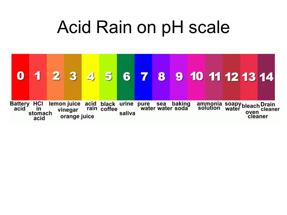 Acid Rain on pH scale
