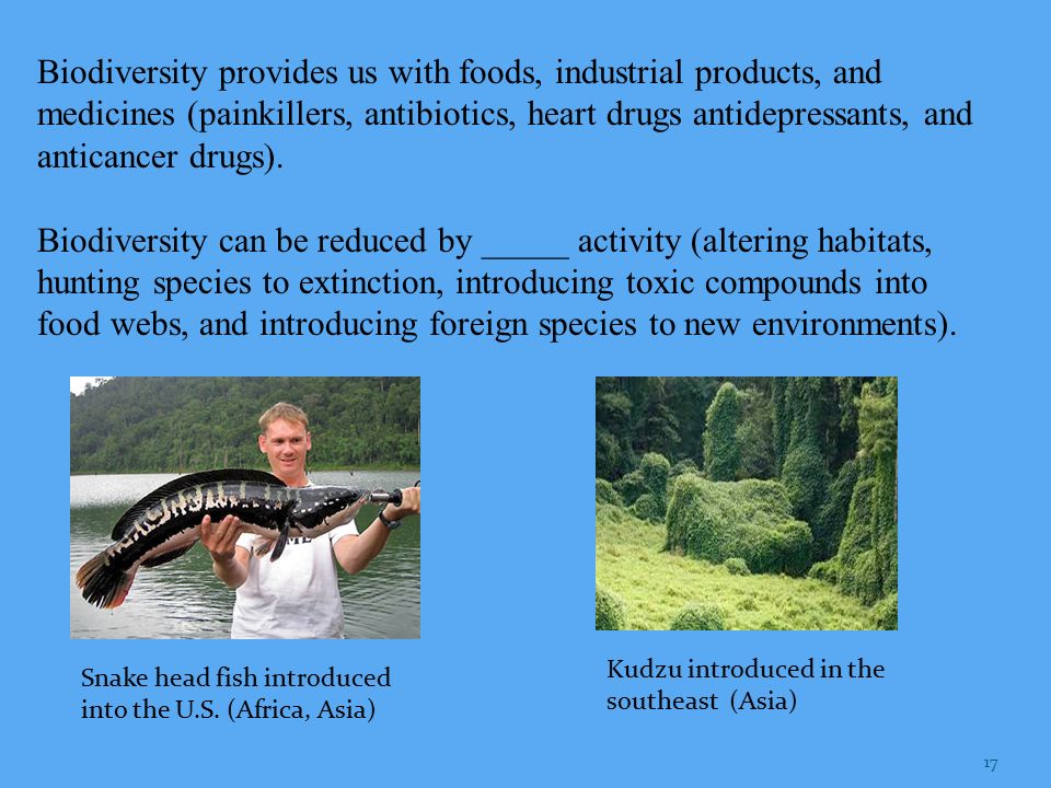 Biodiversity provides us with foods, industrial products, and medicines (painkillers, antibiotics, heart drugs antidepressants, and anticancer drugs).
