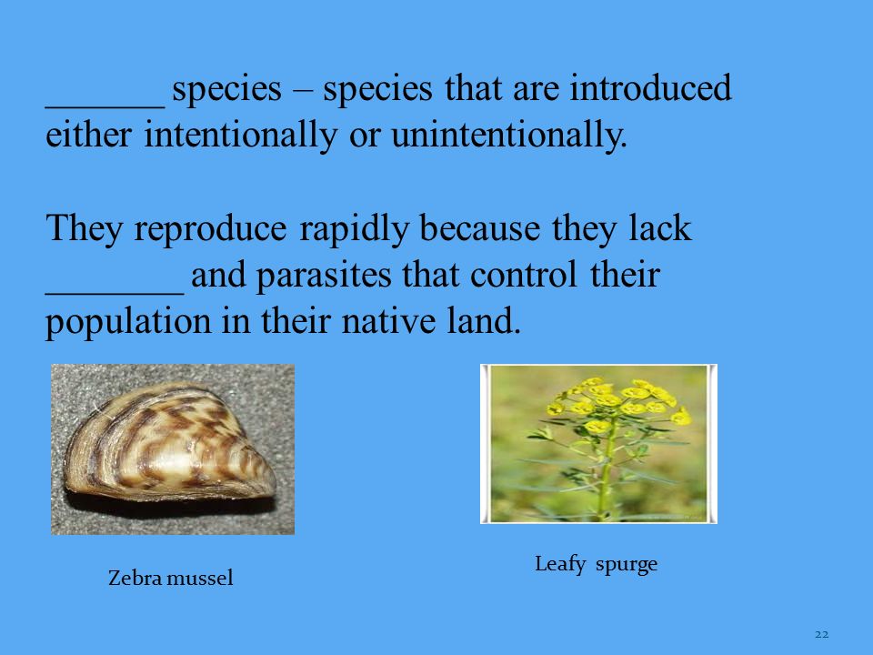 ______ species – species that are introduced either intentionally or unintentionally.