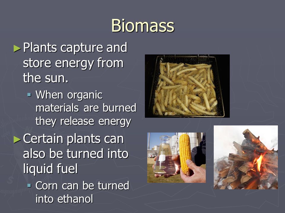 Biomass Plants capture and store energy from the sun.