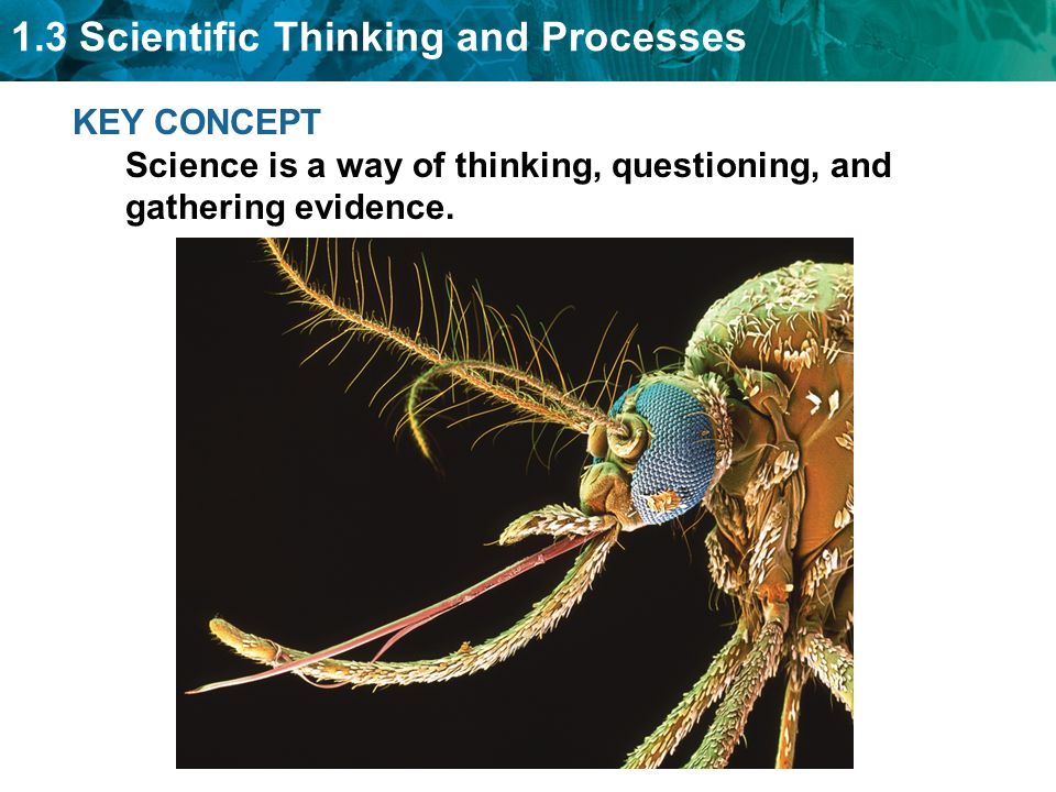 KEY CONCEPT Science is a way of thinking, questioning, and gathering evidence.