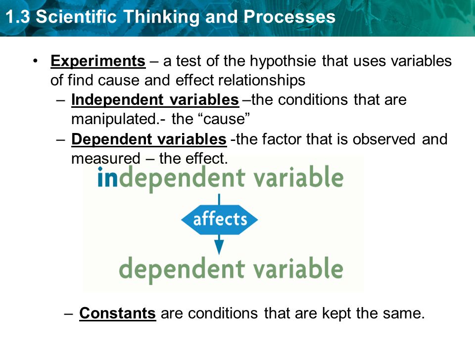Experiments – a test of the hypothsie that uses variables of find cause and effect relationships