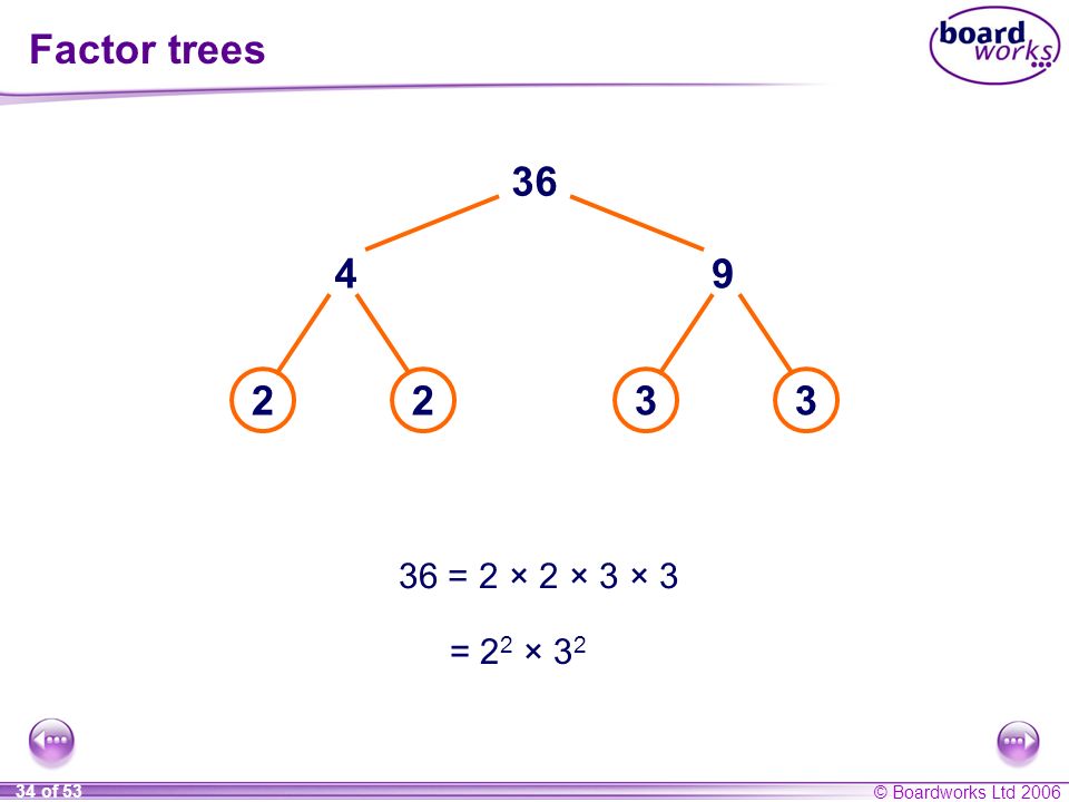 explain number factors Multiples, download N3 primes and factors ppt explain number factors Multiples, download N3 primes and factors ppt