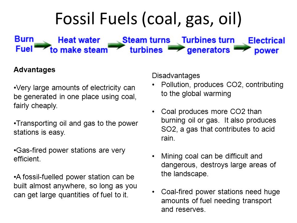 Fossil Fuels (coal, gas, oil)
