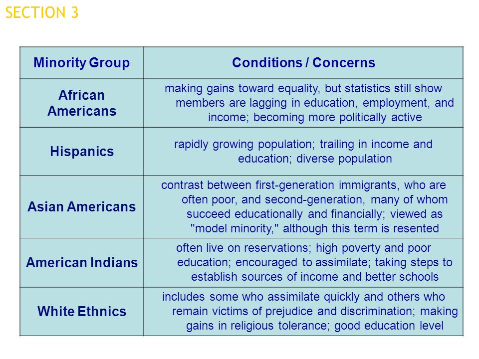 SECTION 3 Minority Group Conditions / Concerns African Americans