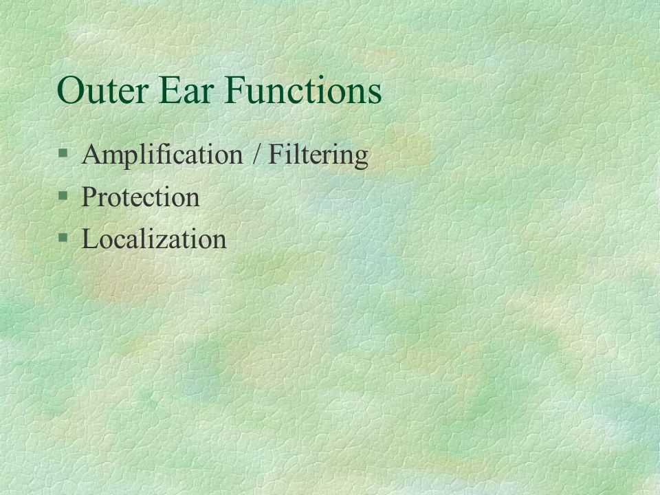 Outer Ear Functions Amplification / Filtering Protection Localization