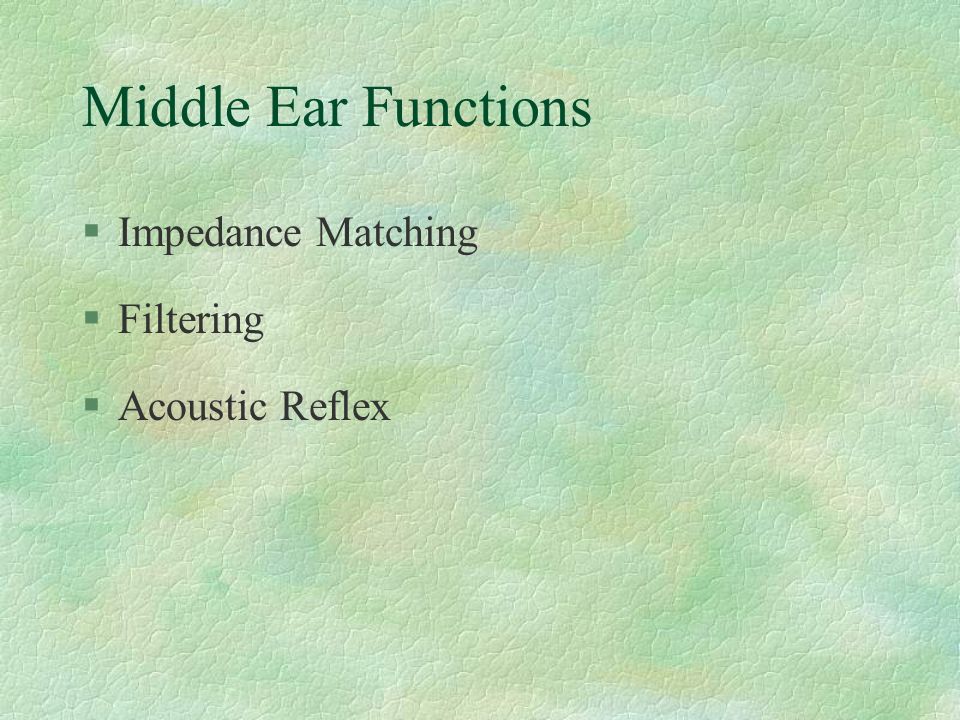 Middle Ear Functions Impedance Matching Filtering Acoustic Reflex